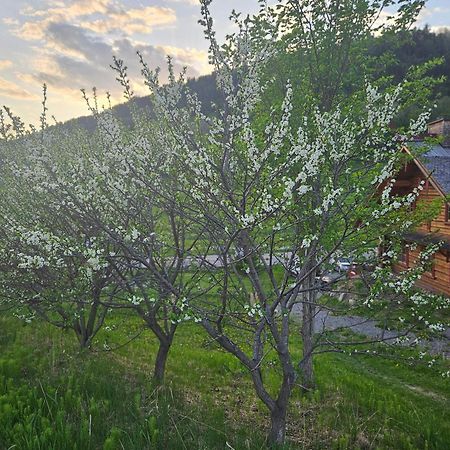 Le Repaire Viking Bed and Breakfast Sainte-Rose-du-Nord Εξωτερικό φωτογραφία